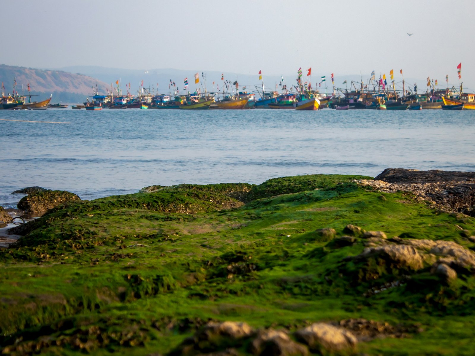 The Konkan Coast: Maharashtra's Other Shoreline